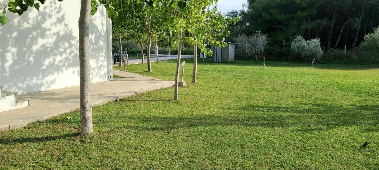 Riviera Inn Apartments Ülgün Dış mekan fotoğraf