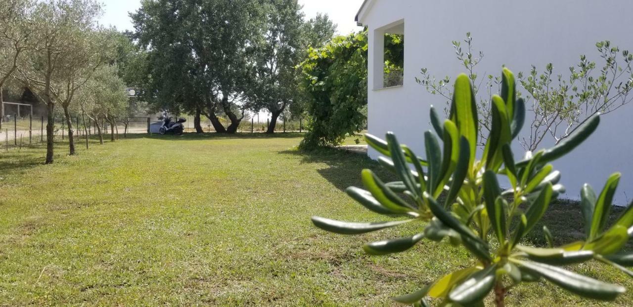 Riviera Inn Apartments Ülgün Dış mekan fotoğraf