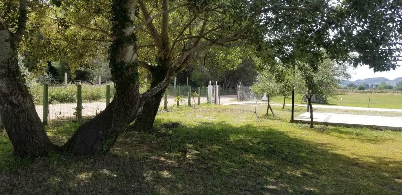 Riviera Inn Apartments Ülgün Dış mekan fotoğraf